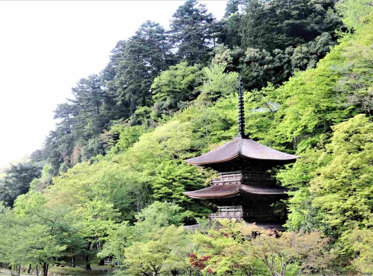 f:id:kyotoside_writer:20220224155928j:plain